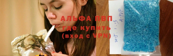 спиды Каменногорск