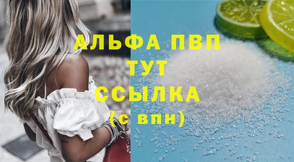 спиды Каменногорск