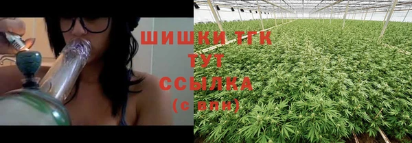 трава Каменка