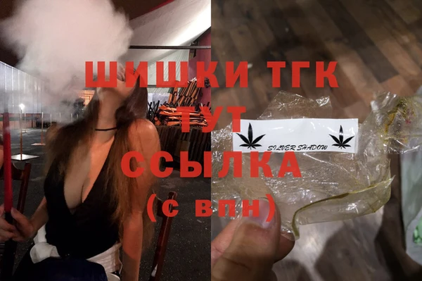 спиды Каменногорск