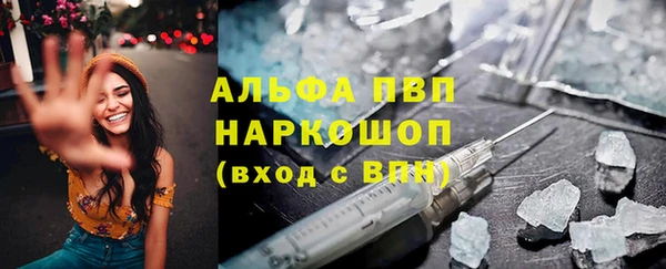 спиды Каменногорск