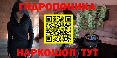 мяу мяу мука Шебекино