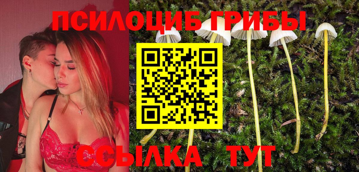 Усть-Джегута  Псилоцибиновые грибы мицелий  Вход с VPN 