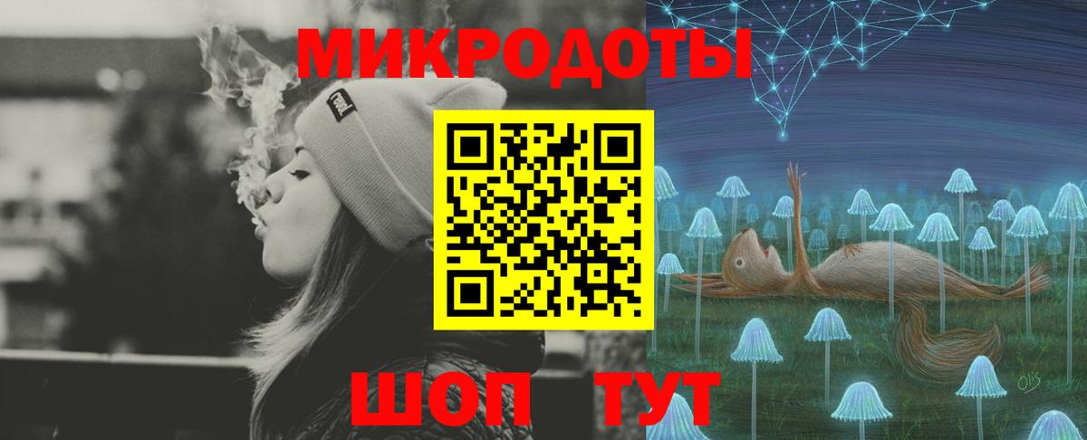 Псилоцибиновые грибы Psilocybe Усть-Джегута